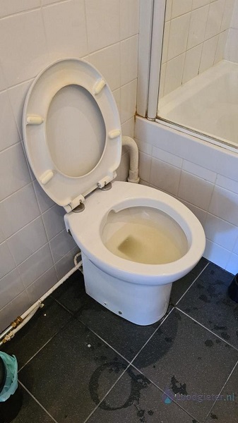  verstopping toilet Vorden